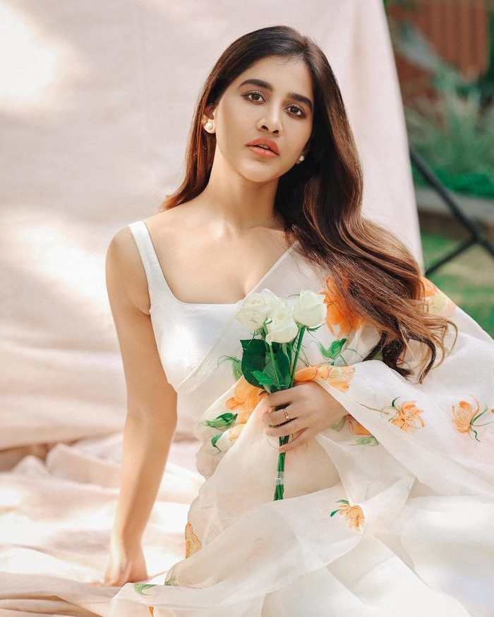 nabha natesh_teluguvox 6